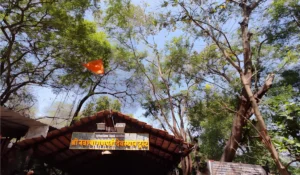 Navshya Ganpati Temple