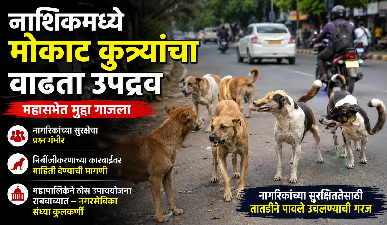 nashik-stray-dogs-problem-municipal-corporation