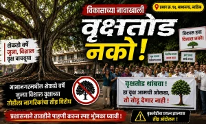 भाभानगरच्या ओळखीचा भाग असलेला जुना वृक्ष